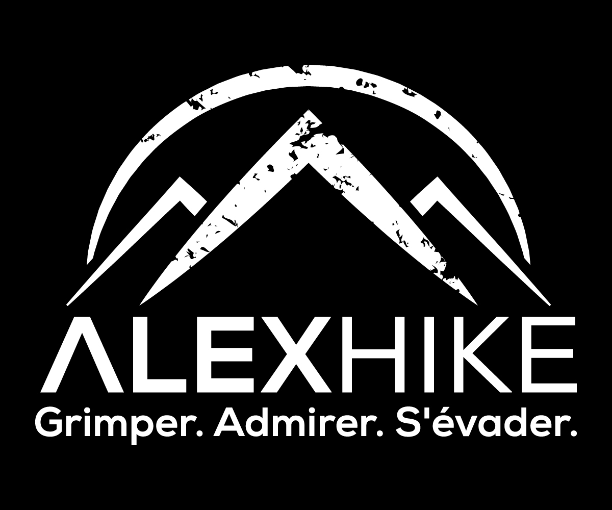 Logo Design by sangeloenriquez for this project | Design #11708014