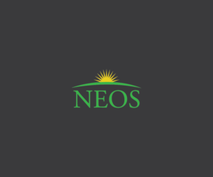 Design de Logo par Maggidesign pour Next Level | Design : #11584221