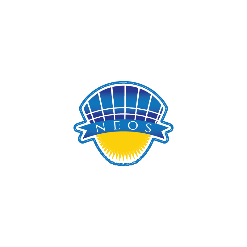 Design de Logo par fmdesigns12 pour Next Level | Design #11586385