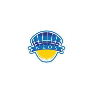 Logo Design by fmdesigns12 for Next Level | Design #11586385