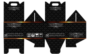 Packaging Design by Chaitanya S.