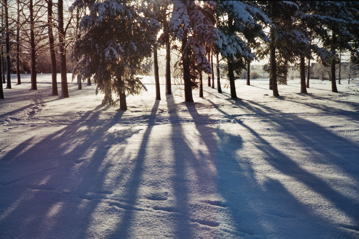 Photographie par nayka pour DesignCrowd (Community Contests) | Design #11651540