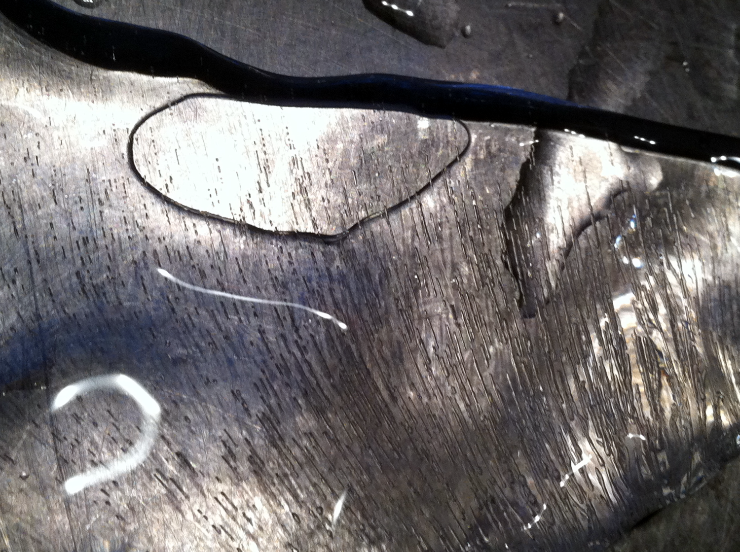 Photography by Ataxia for DesignCrowd (Community Contests) | Design #11598873