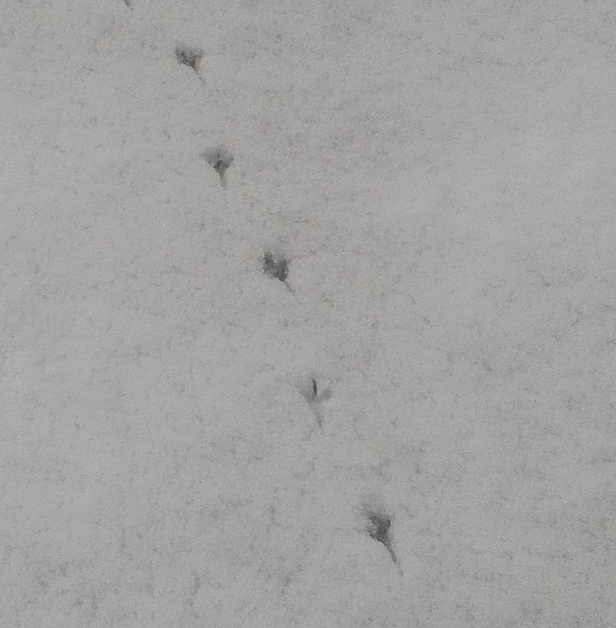 Photography by ecc70 for DesignCrowd (Community Contests) | Design #11598748