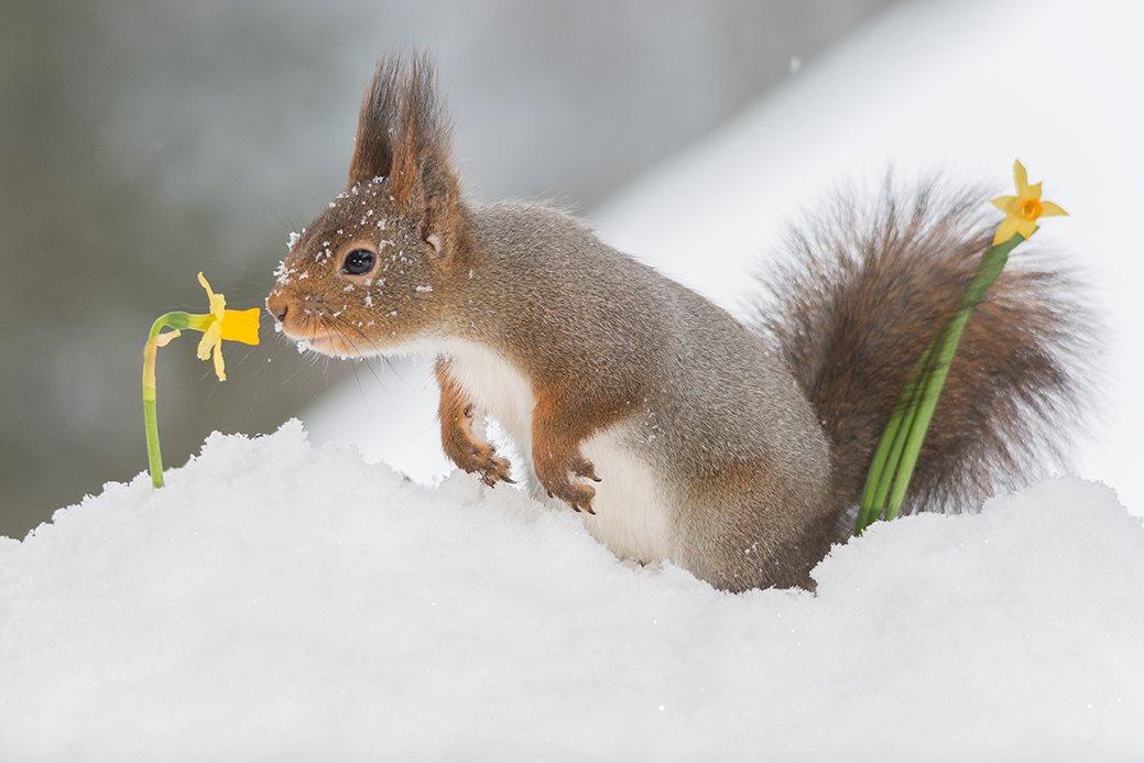Photography by geertweggen for DesignCrowd (Community Contests) | Design #11576275