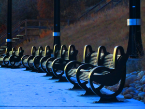 Photography by Katherine Gray Graphic Designer
