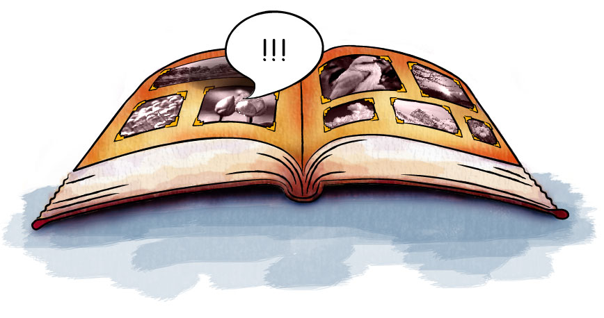 Illustration Design by ccol for this project | Design #489780