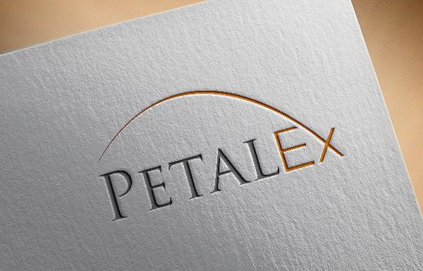 Logo Design by EGYPT KING for this project | Design #11591587