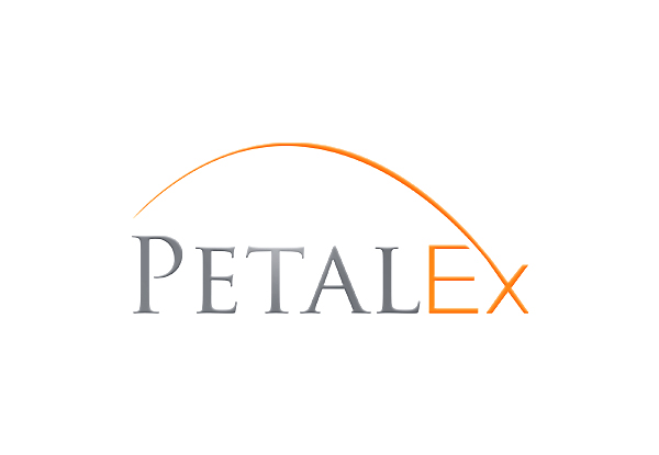 Logo Design by EGYPT KING for this project | Design #11591588