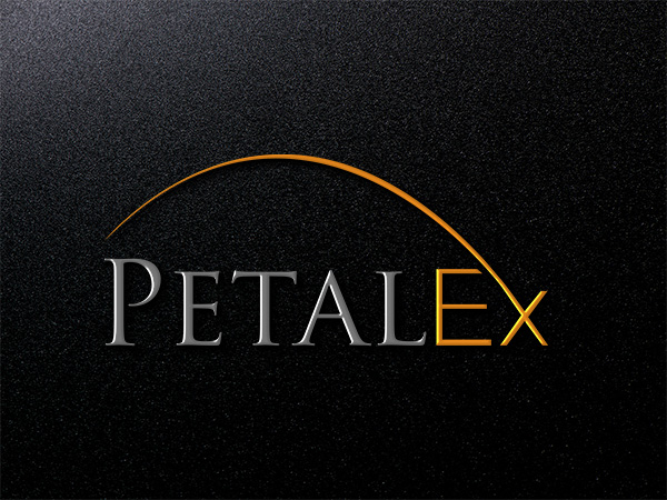 Logo Design by EGYPT KING for this project | Design #11591589