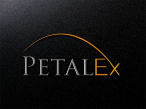Logo Design by EGYPT KING for this project | Design: #11591589