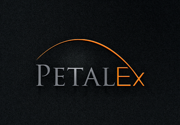 Logo Design by EGYPT KING for this project | Design #11591591