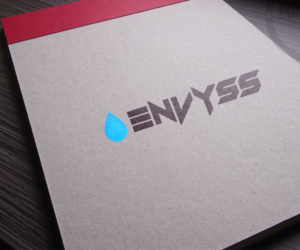 Logo Design by Charaf A47 for Envyss | Design #11588121