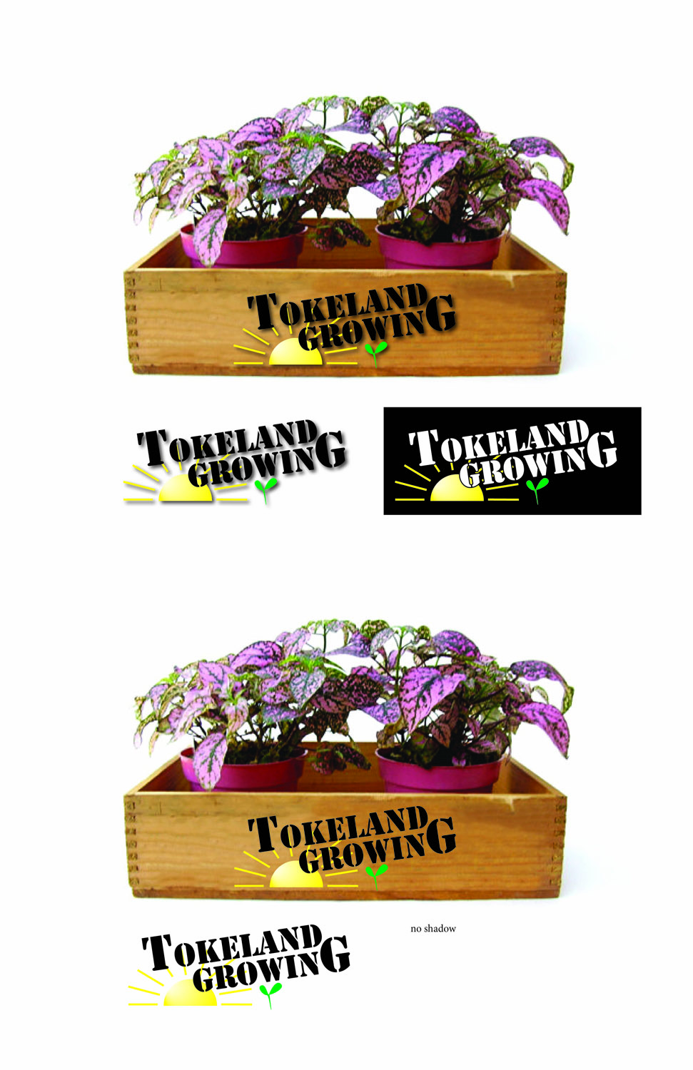 Logo Design by TownTrend for this project | Design #11591883