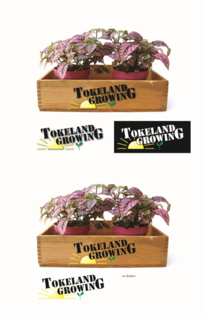 Logo Design by TownTrend