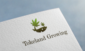 Design de Logo par krokodila pour ce projet | Design : #11664216