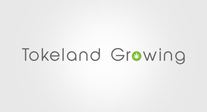 Logo-Design von krokodila für dieses Projekt | Design #11664228