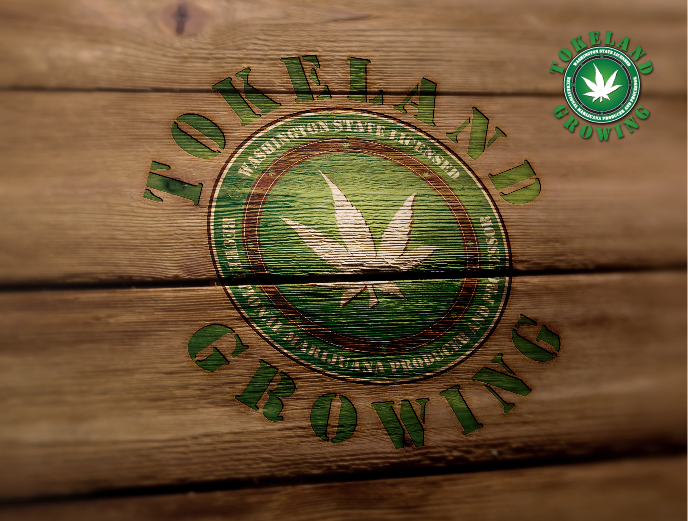 Logo Design by torresace for this project | Design #11590611