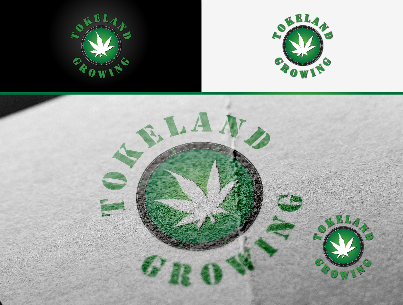 Logo Design by torresace for this project | Design #11633981