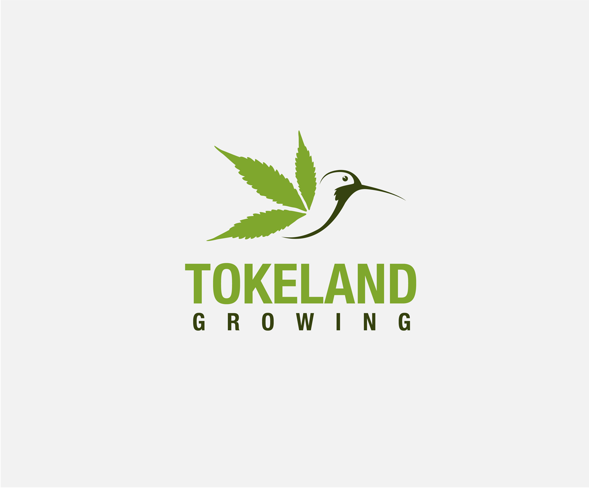 Logo Design by glenn for this project | Design #11594222