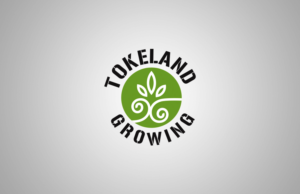 Design de Logo par tamgraphic1979 pour ce projet | Design : #11627974