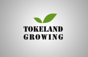 Design de Logo par tamgraphic1979 pour ce projet | Design : #11627977