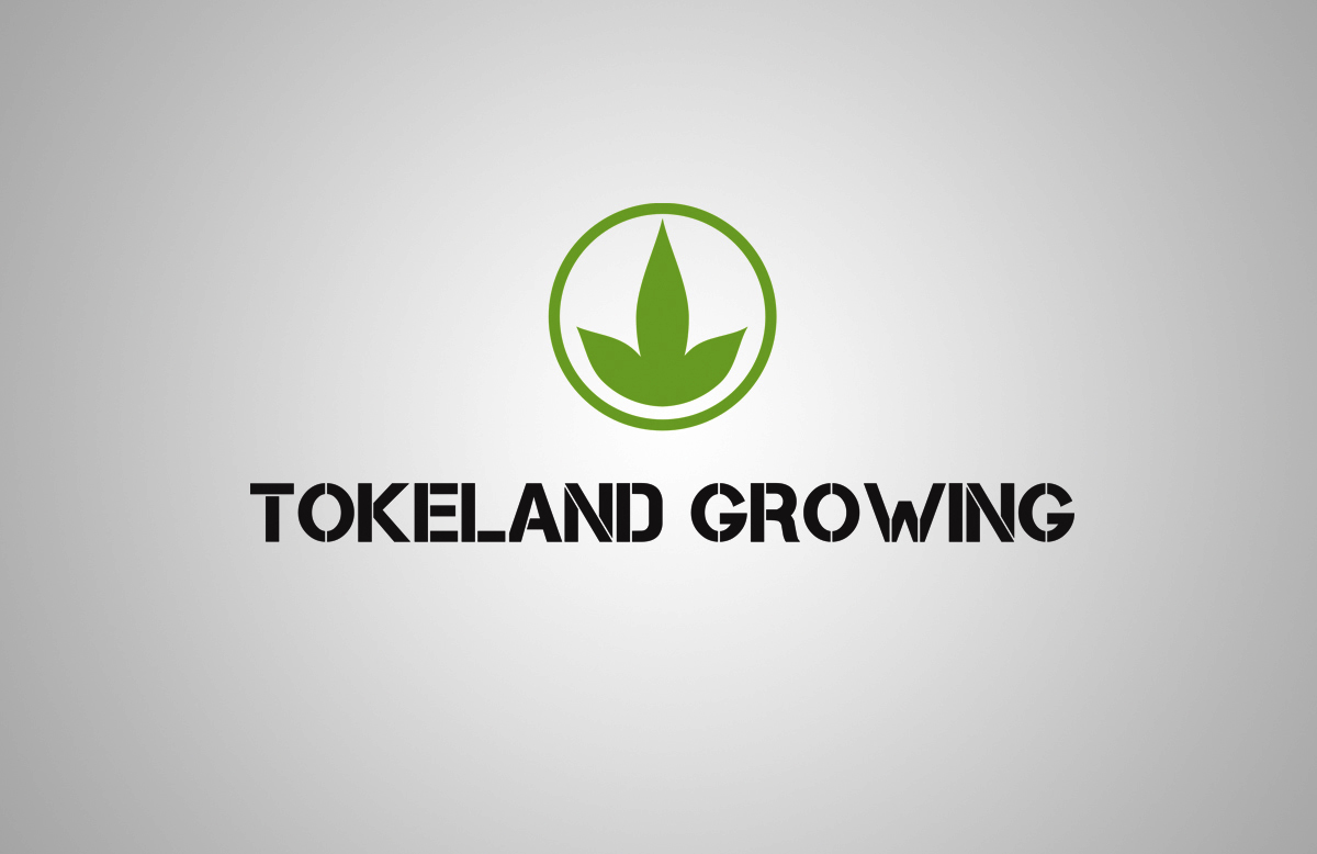 Logo-Design von tamgraphic1979 für dieses Projekt | Design #11627985