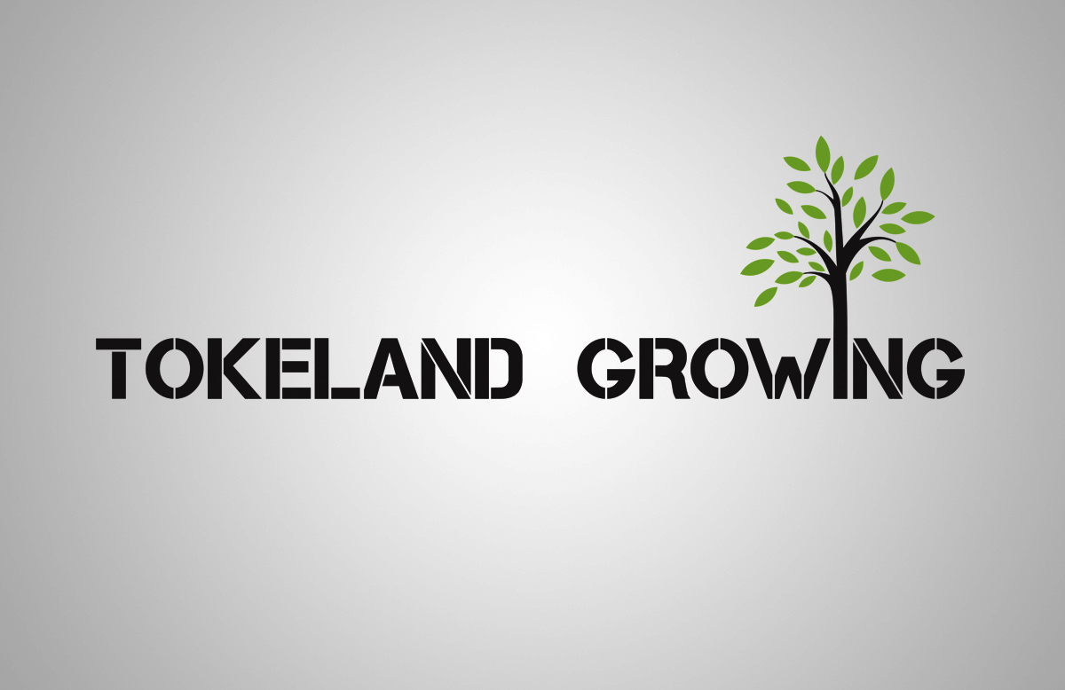 Logo Design by tamgraphic1979 for this project | Design #11627986