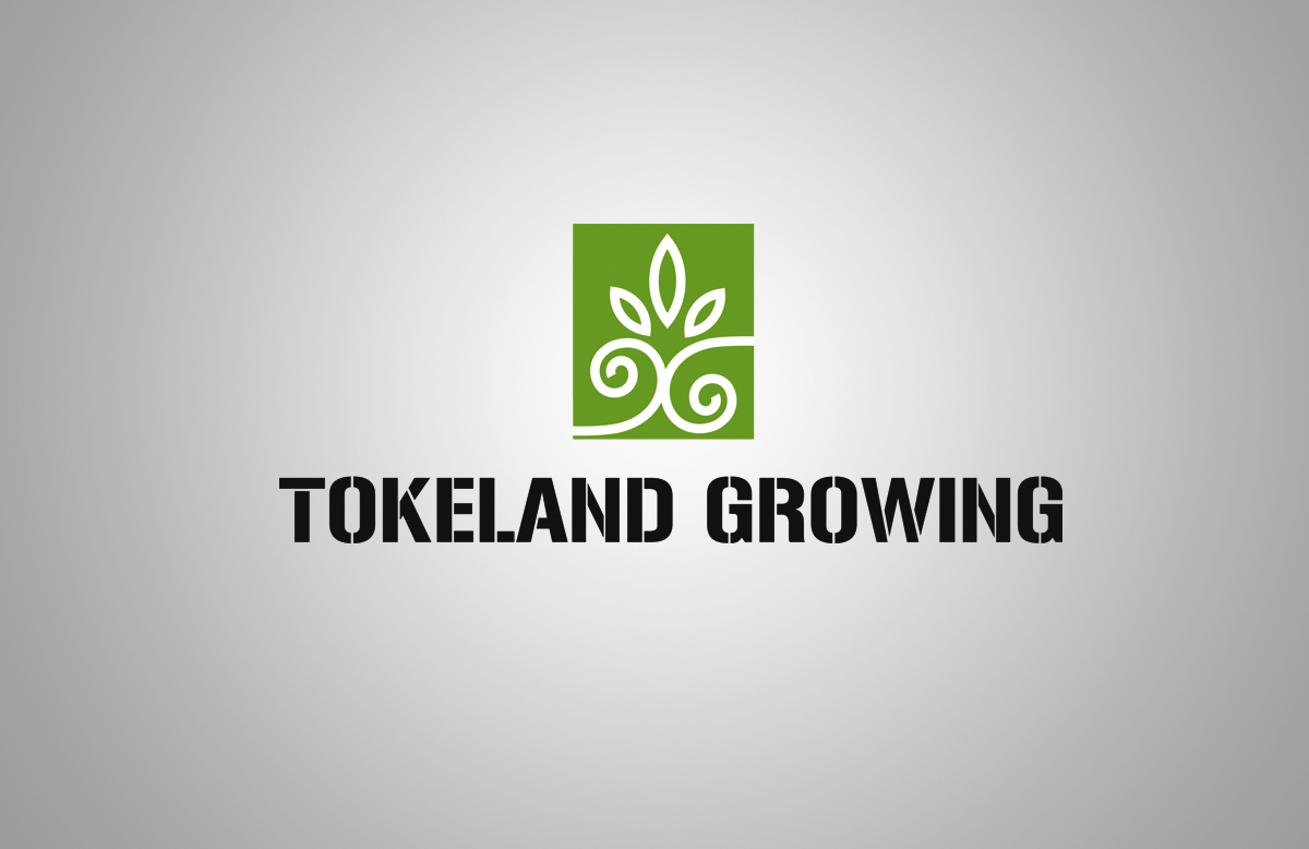 Logo Design by tamgraphic1979 for this project | Design #11628191