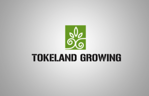 Design de Logo par tamgraphic1979 pour ce projet | Design : #11628191