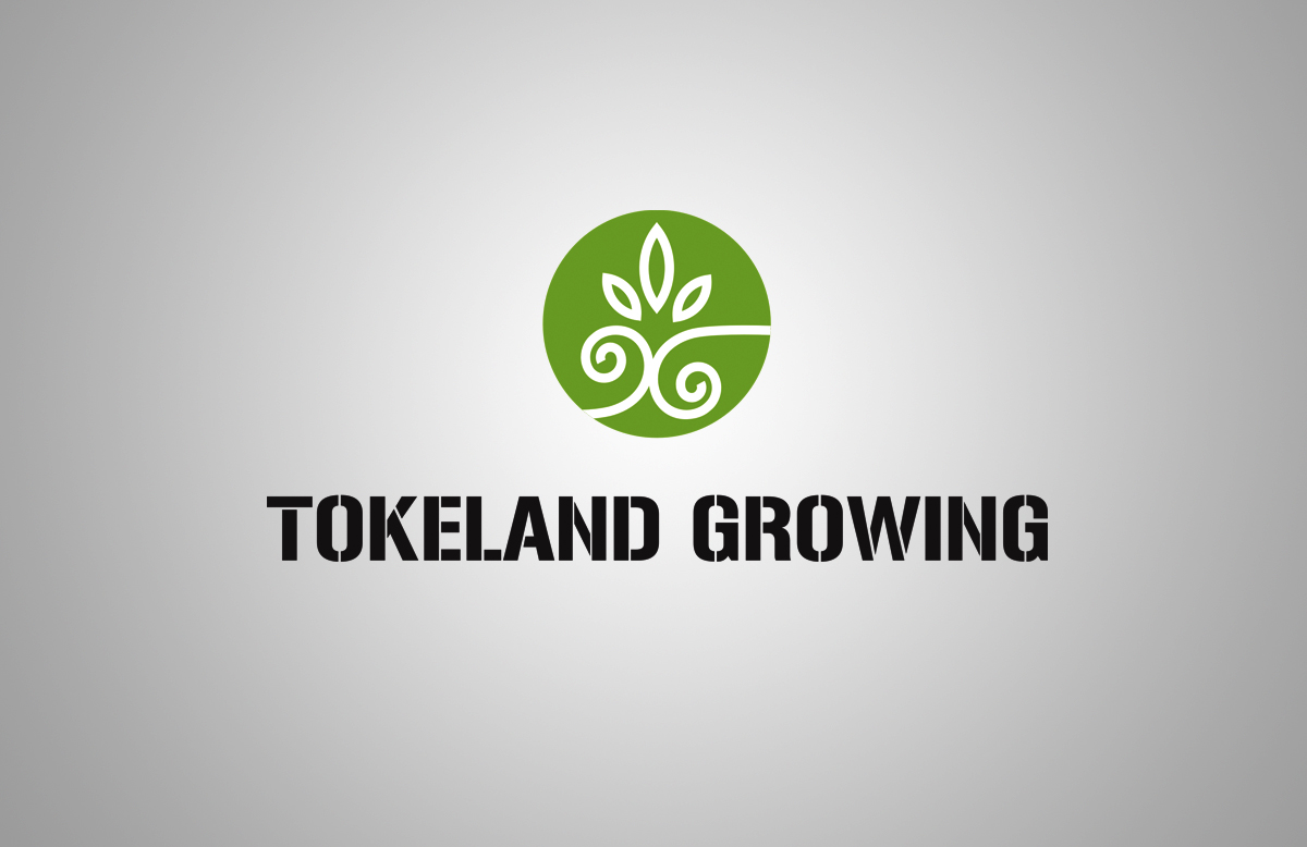 Design de Logo par tamgraphic1979 pour ce projet | Design #11628193