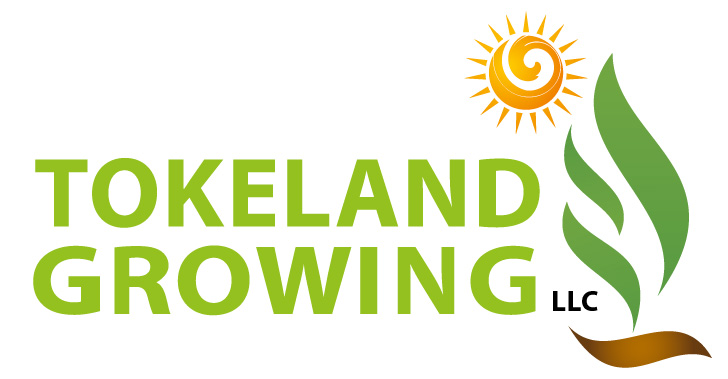 Design de Logo par ShowKayz pour ce projet | Design #11600405