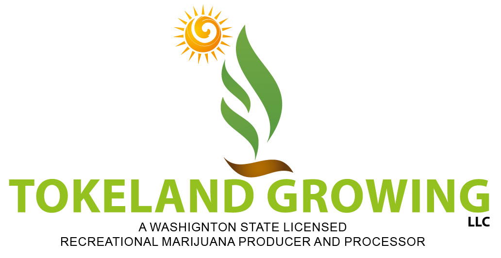 Logo-Design von ShowKayz für dieses Projekt | Design #11600407