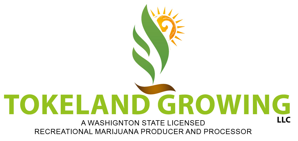 Design de Logo par ShowKayz pour ce projet | Design #11600413