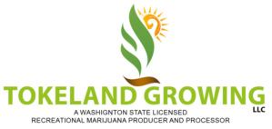 Design de Logo par ShowKayz pour ce projet | Design : #11600413