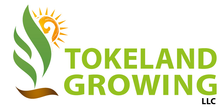 Logo-Design von ShowKayz für dieses Projekt | Design #11600414