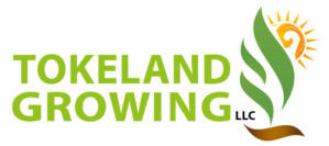 Design de Logo par ShowKayz pour ce projet | Design : #11600416