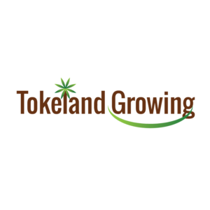 Logo Design by James for this project | Design #11591526