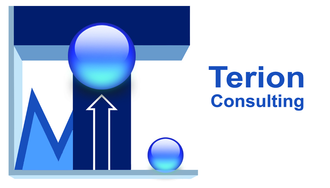 Business Card Design by christopher primbas for Terion Consulting | Design #25496