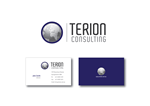 Visitenkarten-Design von S.R.Graphic Design für Terion Consulting | Design #24681