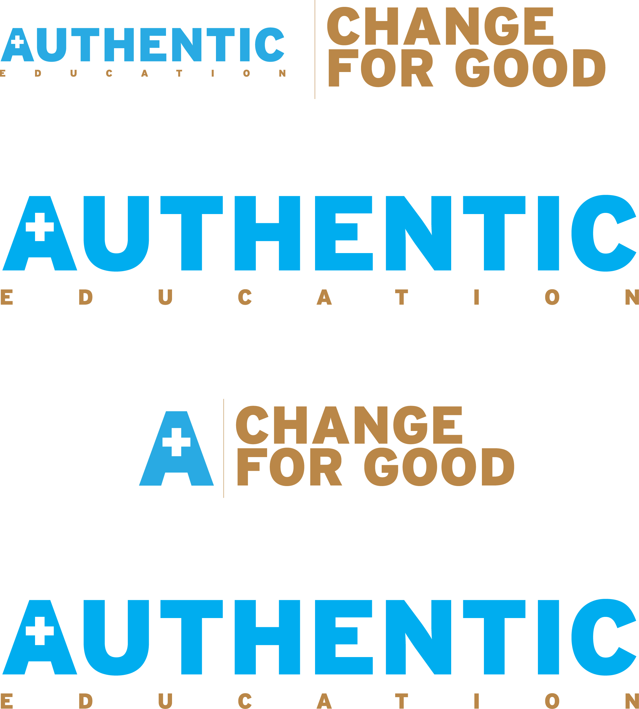 Diseño de Logo por 11 para Authentic Education | Diseño #25156