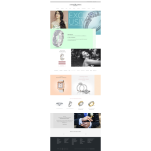 Web Design by Ritz Paul