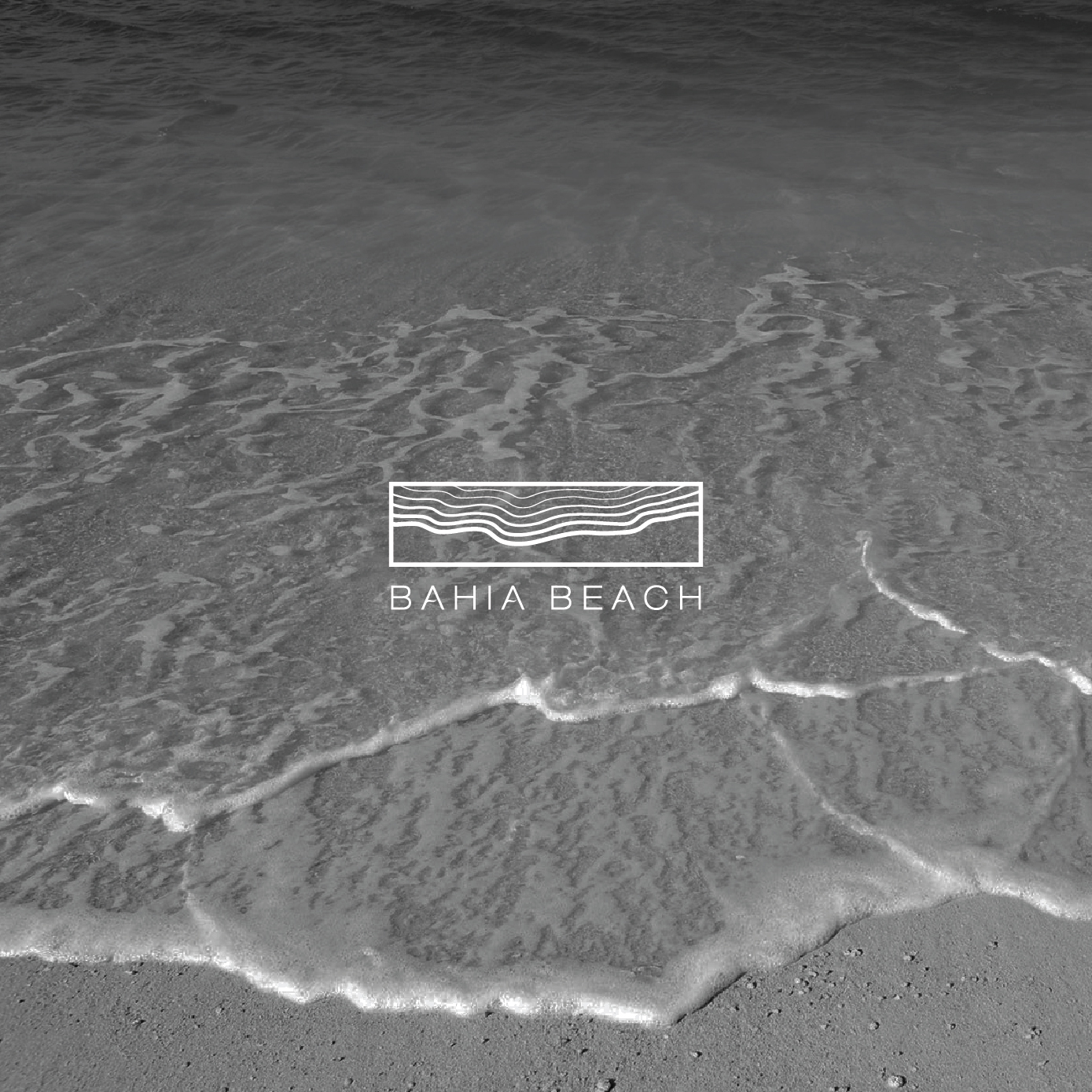 Logo Design by jackychung.uk for REDCO | Design #11650568