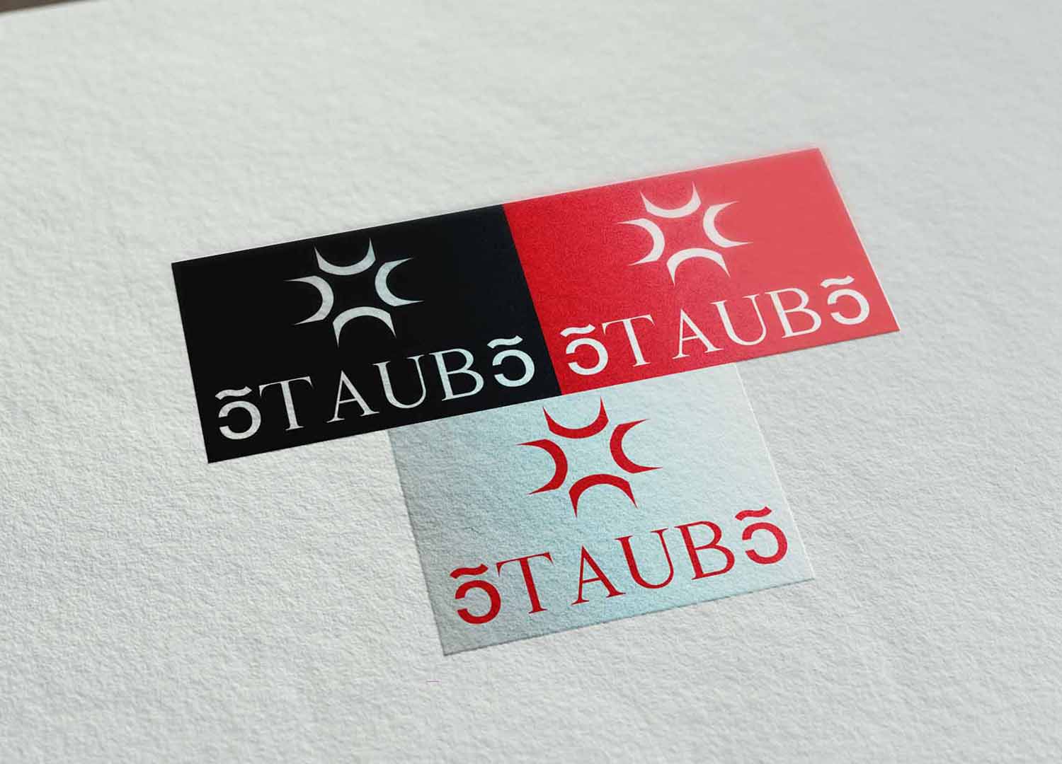 Logo Design by NAVENDU SHARMA for Staubs | Design #11672393