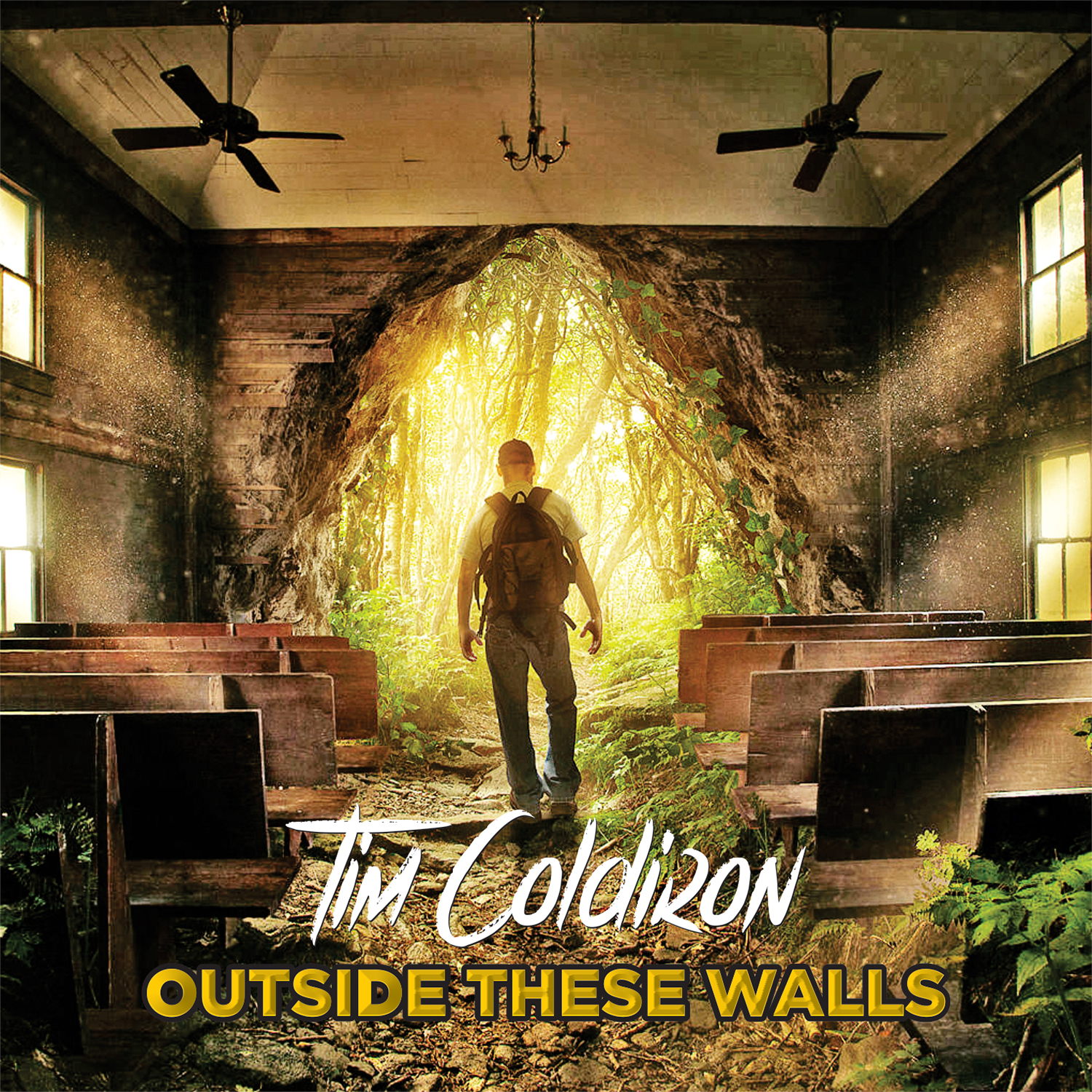 CD Cover Design by alhemique1 for this project | Design #11668176