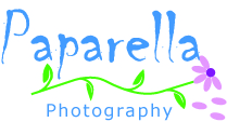 Logo Design by adriana for Paparella Pty Ltd | Design #133397