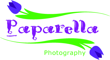 Logo Design by adriana for Paparella Pty Ltd | Design #133401