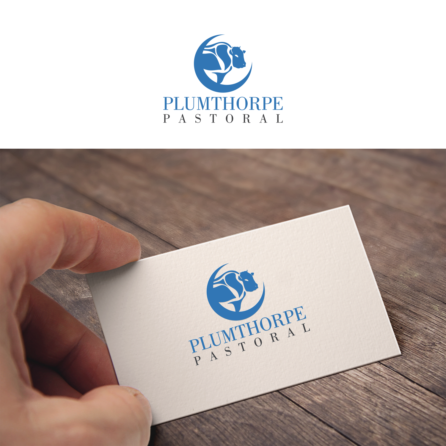 Logo Design by moisesf for this project | Design #11663300