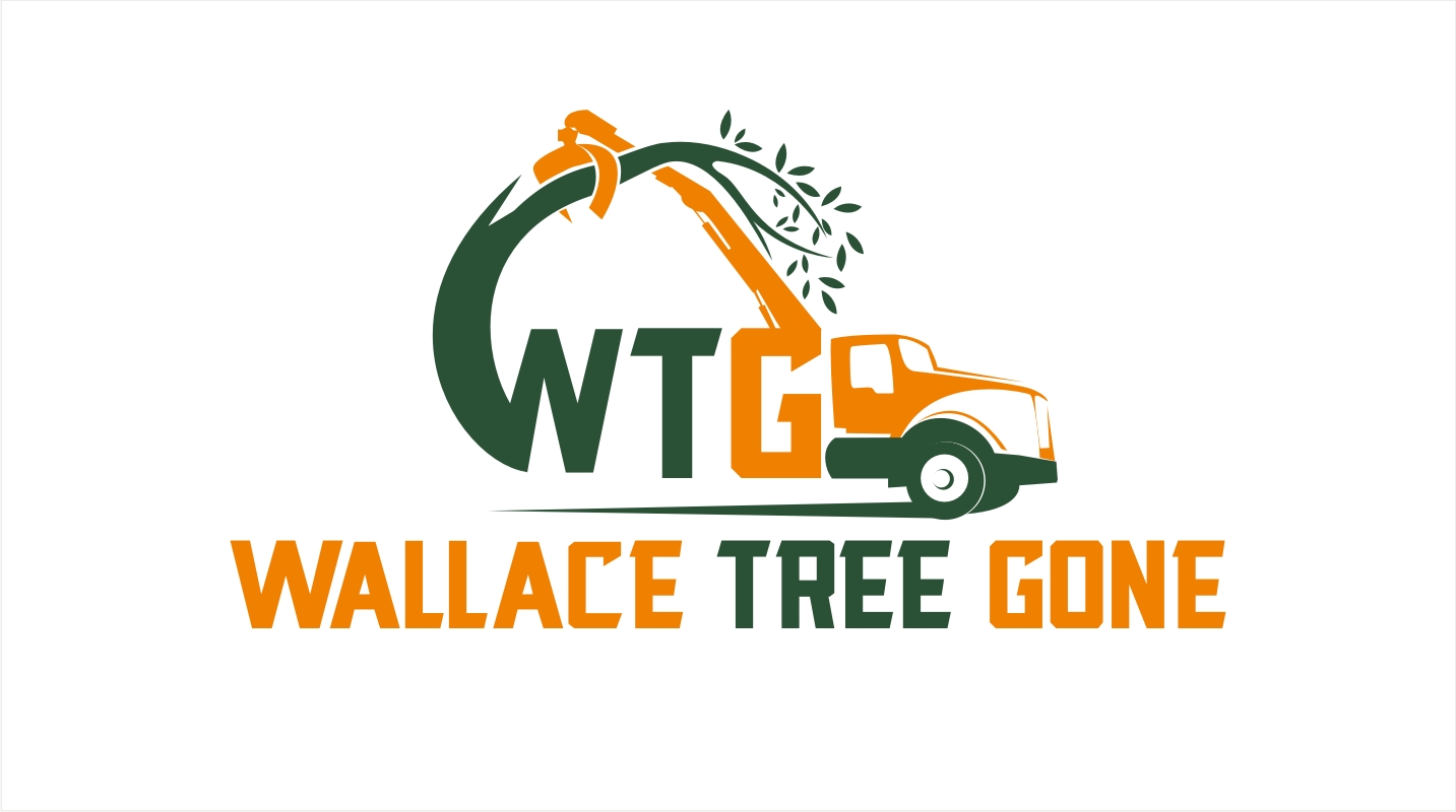 Logo Design by Soul Light for Gravity Marketing LLC | Design #19008148