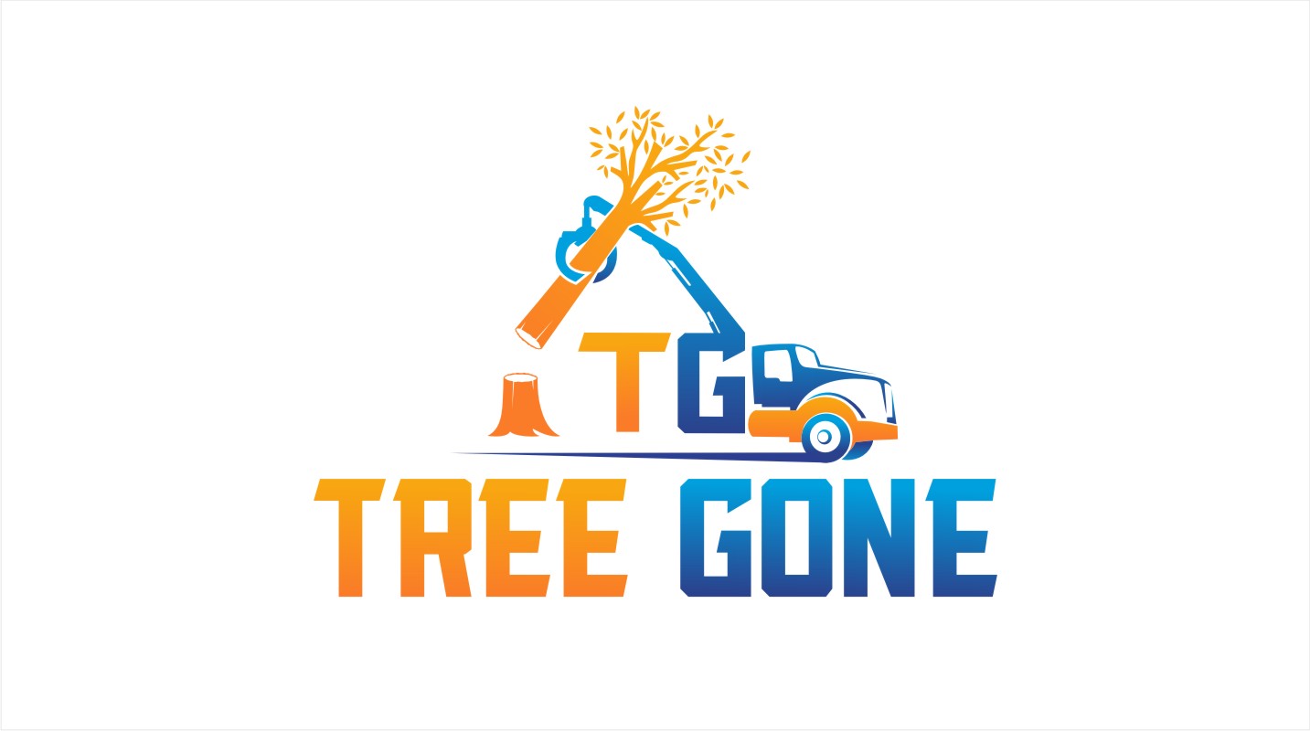 Logo Design by Soul Light for Gravity Marketing LLC | Design: #19140435